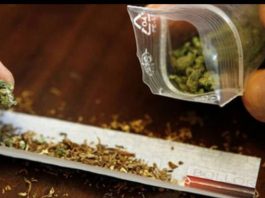 Kërkohet paraburgim për shitësit e drogës