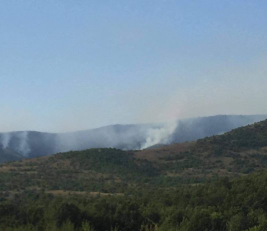 Gjakovë: Zjarri përfshin qindra hektarë me pyje