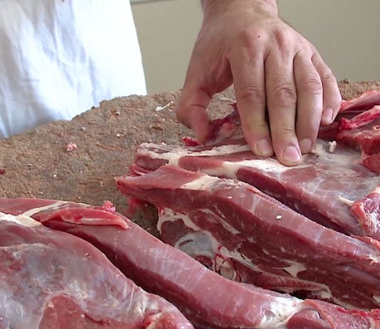 Komuna e Skenderajt: Shoqata “Jetimët e Ballkanit” s’ka sjellë mish të prishur, faji është te frigoriferi